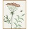 Springtime III Warm by Sara Zieve Miller 23-in. W x 28-in. H. Canvas Wall Art Print Framed in Natural
